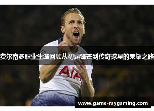 费尔南多职业生涯回顾从初露锋芒到传奇球星的荣耀之路