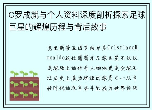 C罗成就与个人资料深度剖析探索足球巨星的辉煌历程与背后故事