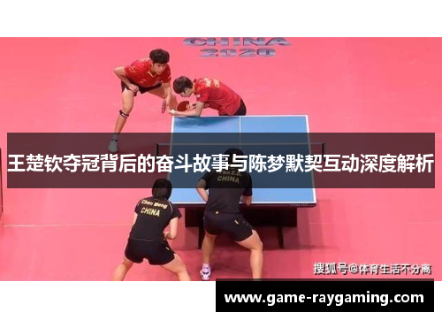 王楚钦夺冠背后的奋斗故事与陈梦默契互动深度解析